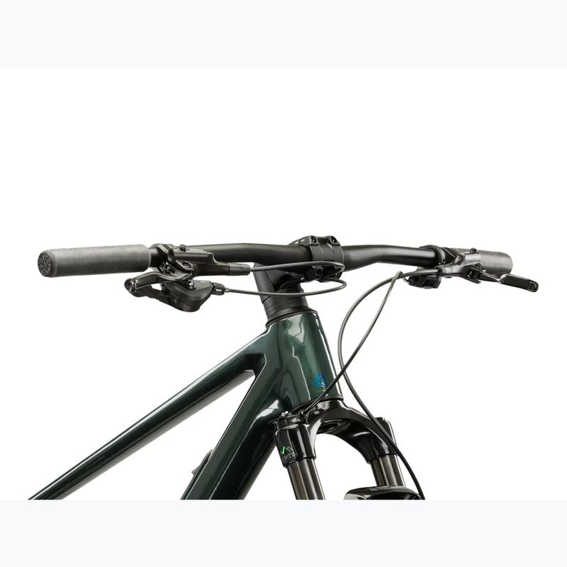 Kalnų dviratis KROSS Level RS 1.0 green/chameleon/gloss 4