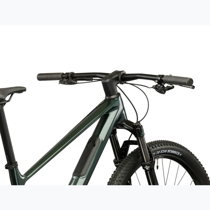Kalnų dviratis KROSS Level RS 1.0 green/chameleon/gloss 10
