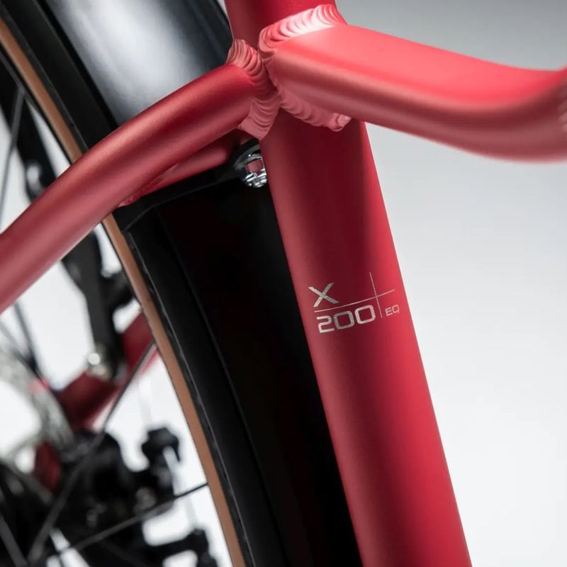 Moteriškas kalnų dviratis KROSS Lea X200 Eq W 29 pink/silver/matte 14
