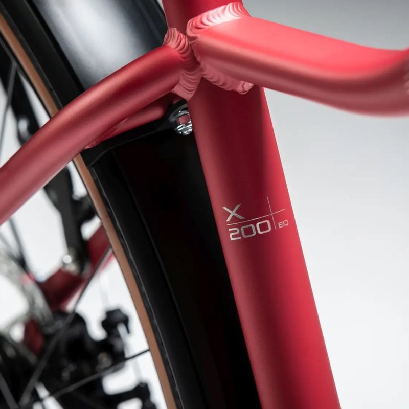 Moteriškas kalnų dviratis KROSS Lea X200 Eq W 27.5 pink/silver/matte 14