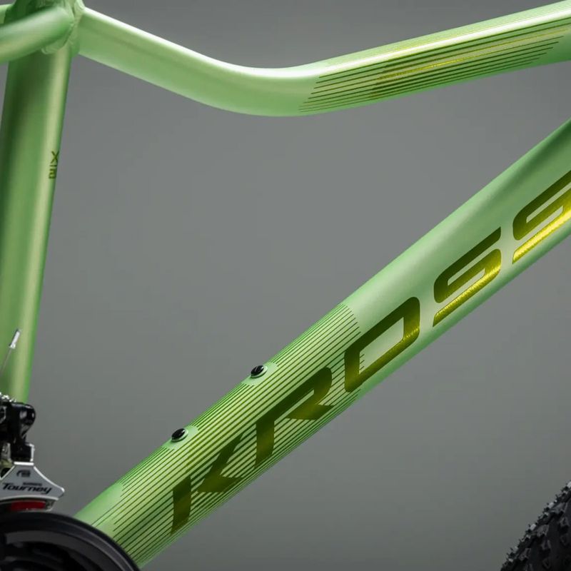 Moteriškas kalnų dviratis KROSS Lea X200 W 27.5 green/green/matte 12