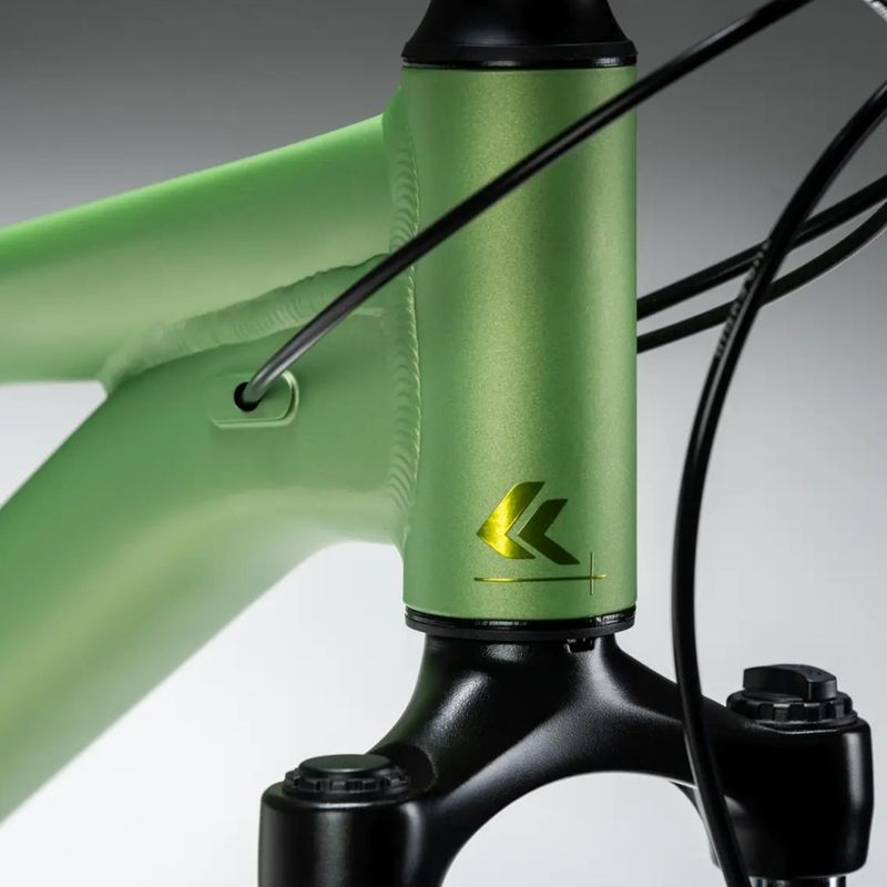 Moteriškas kalnų dviratis KROSS Lea X200 W 27.5 green/green/matte 14