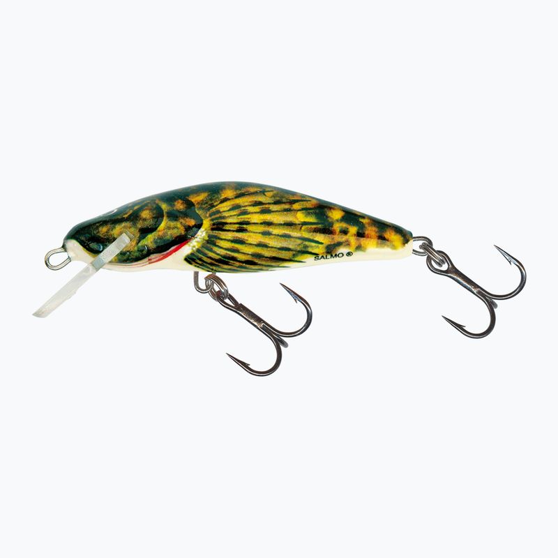 Salmo bulius S bulius vobleris QBD003