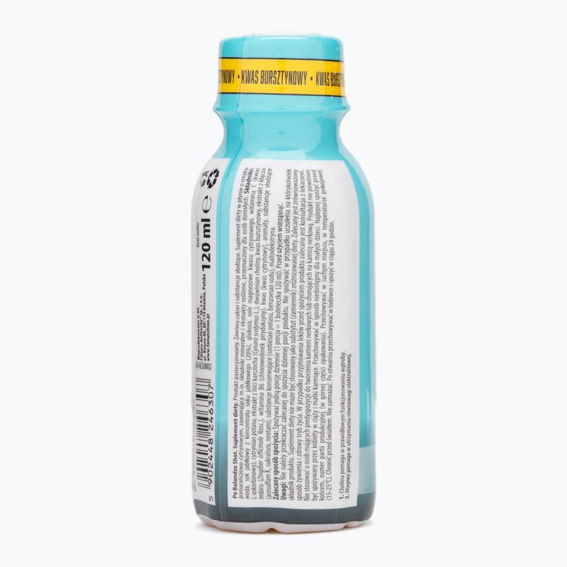Maisto papildas Fitness Authority FA Po Balandze 120 ml orange/citrus 3
