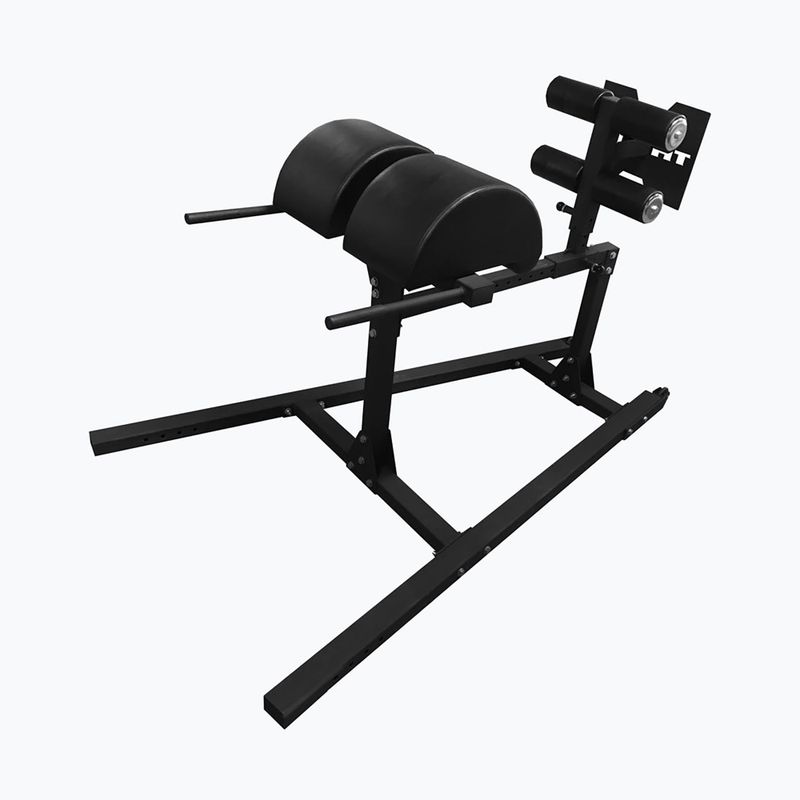 Įrenginys bicepsams treniruoti THORN FIT GHD-1 gym black 2