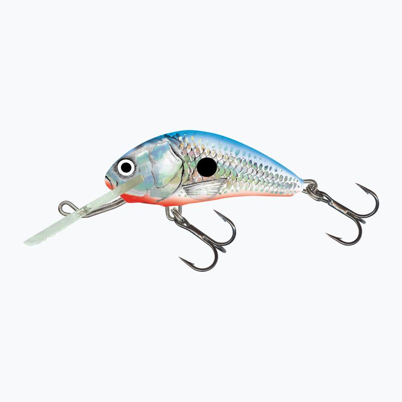 Salmo Hornet FL sidabrinis mėlynas vobleris QHT084