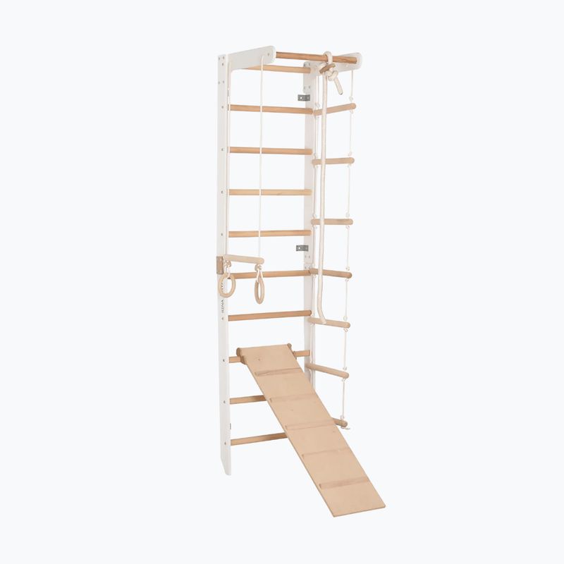 Gimnastikos kopėčios RINAGYM SPR B+SLIDE 3
