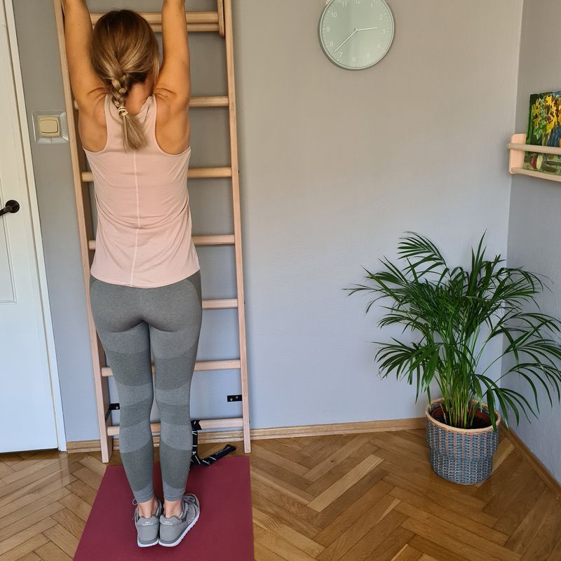 BenchK bronzinės gimnastikos kopėčios BK-111 7