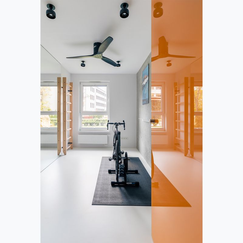 BenchK natūralaus medžio gimnastikos kopėčios BK-100 10