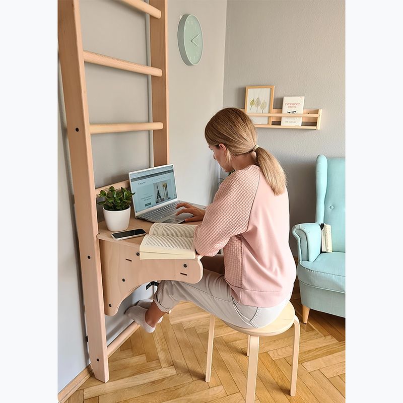 BenchK bronzinės gimnastikos kopėčios BK-112 8