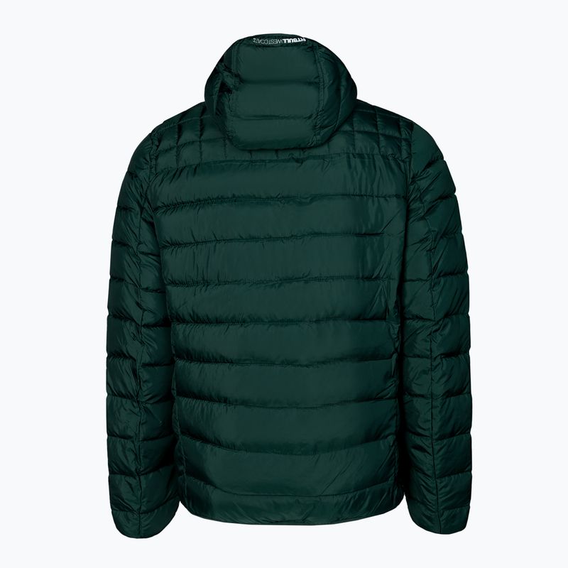 Vyriška žieminė striukė Pitbull West Coast Padded Hooded Seacoast tamsiai alyvinė 2