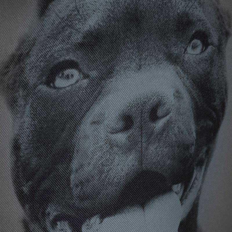 Pitbull West Coast vyriška kuprinė Pitbull Ir 28 l black/grey 12