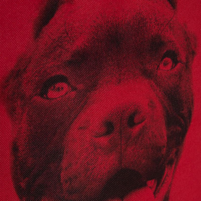 Pitbull West Coast vyriška kuprinė Pitbull Ir 28 l black/red 13