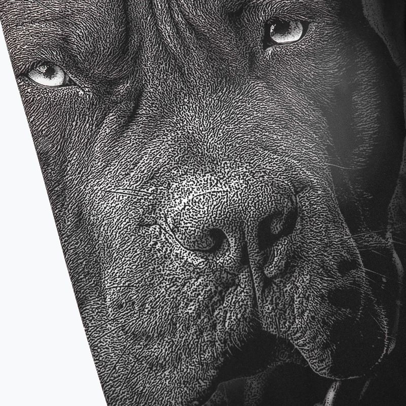 Pitbull West Coast vyriškos tamprės Gimę 1989 m., juodos spalvos 3