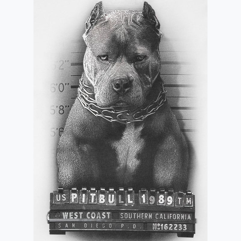 Vyriški marškinėliai Pitbull West Coast Mugshot 2 white 8