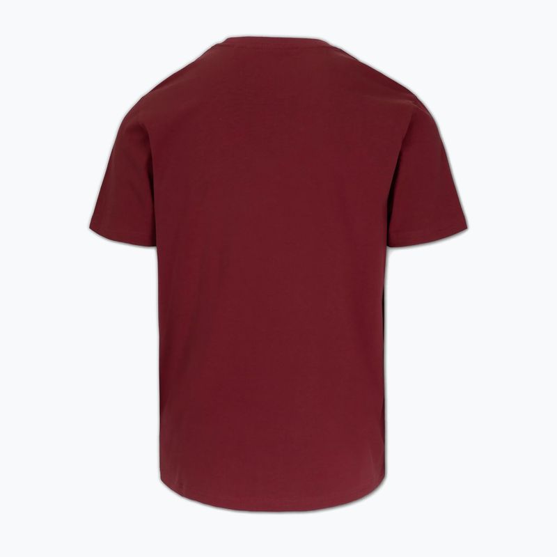 Vyriški marškinėliai Pitbull Small Logo burgundy 2