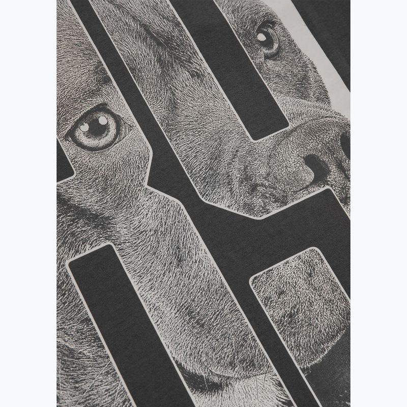 Vyriški marškinėliai Pitbull Eighty Nine Dog graphite 12