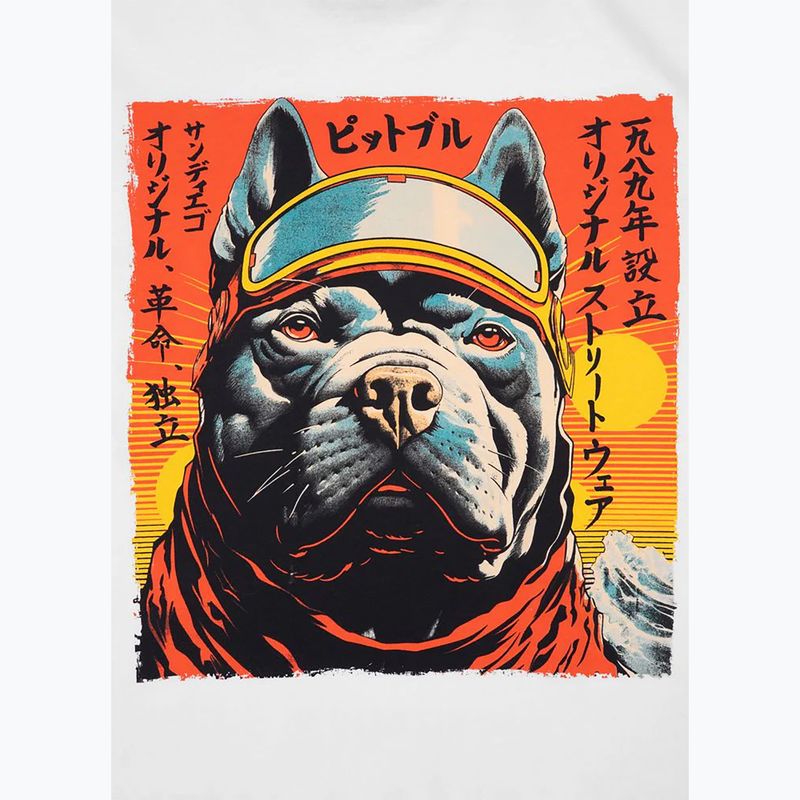 Vyriški marškinėliai Pitbull Fuji white 8