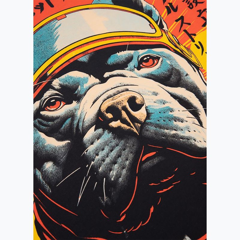 Vyriški marškinėliai Pitbull Fuji white 9