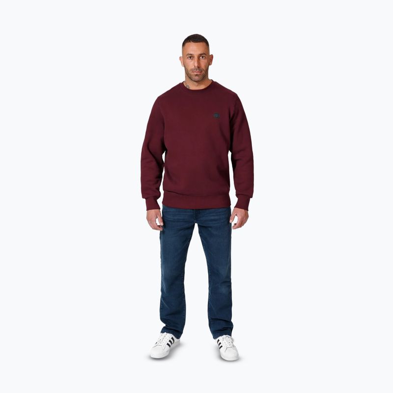 Vyriškas džemperis Pitbull Small Logo Crewneck burgundy 2