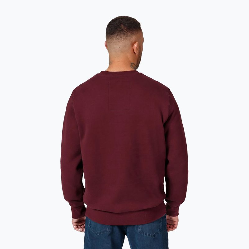 Vyriškas džemperis Pitbull Small Logo Crewneck burgundy 3