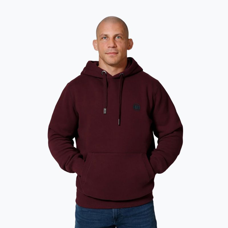 Vyriškas džemperis Pitbull Small Logo Hooded burgundy