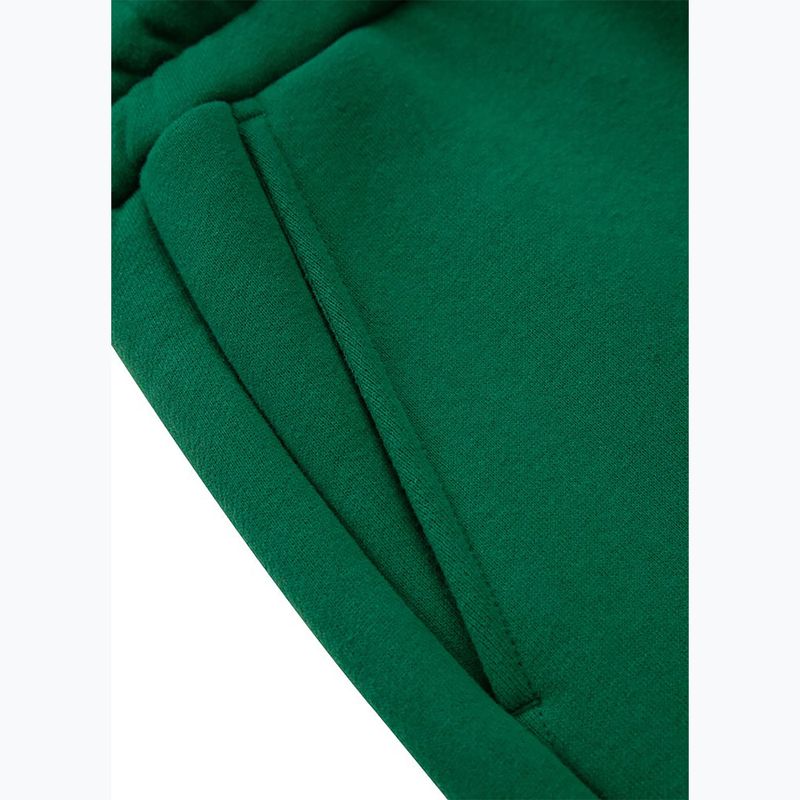 Moteriškos kelnės Pitbull Tyrian Trackpants green 4