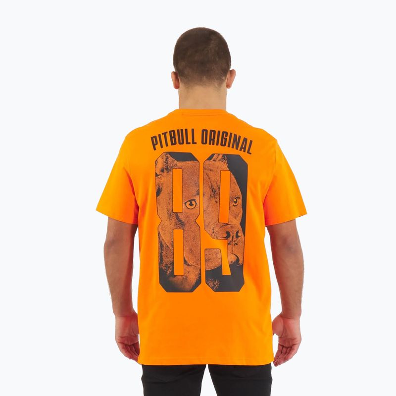Vyriški marškinėliai Pitbull Eighty Nine Dog orange 3