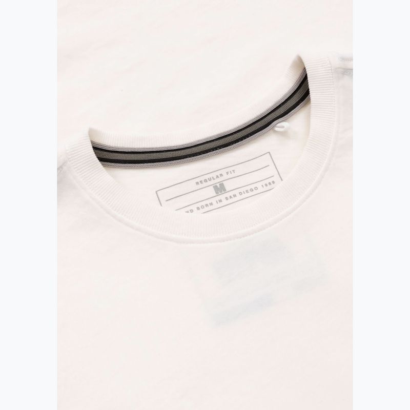 Vyriški marškinėliai Pitbull Small Logo off white 8