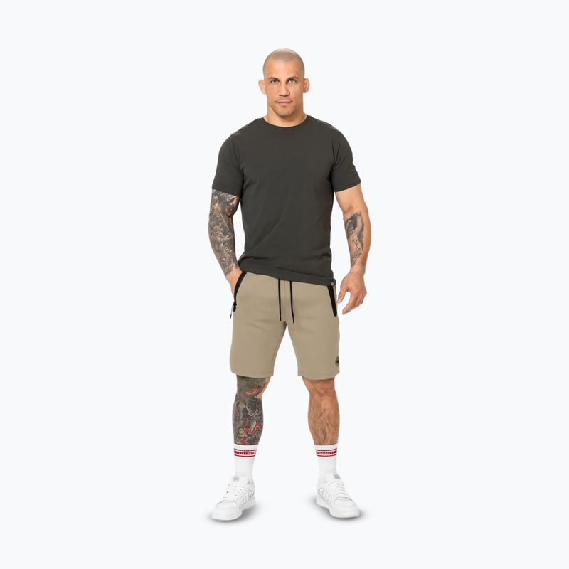 Vyriški šortai Pitbull Dogwood Sport dark sand 2