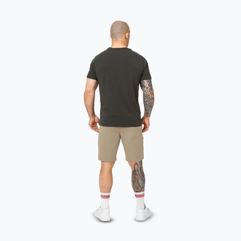 Vyriški šortai Pitbull Dogwood Sport dark sand 3