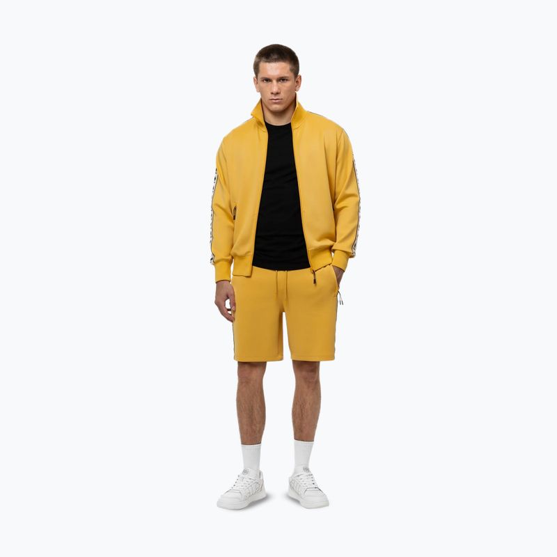 Vyriškas džemperis Pitbull Track Jacket Powers pale yellow 2