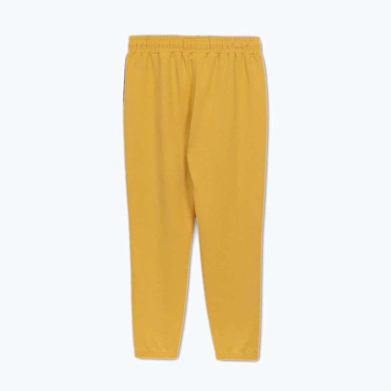 Vyriškos kelnės Pitbull Track Pants Powers pale yellow 6