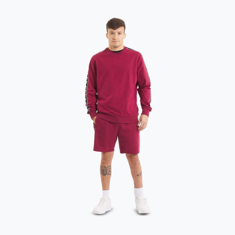 Vyriškas džemperis Pitbull Tape Nugget Crewneck Sweatshirt burgundy 2