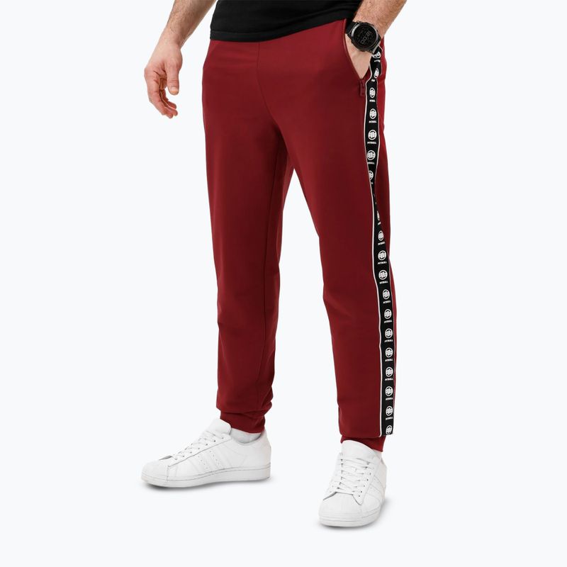 Vyriškos kelnės Pitbull Tape Nugget Jogging burgundy