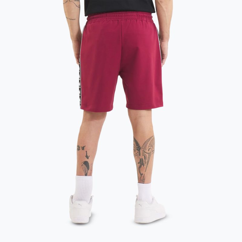 Vyriški šortai Pitbull Tape Nugget burgundy 3
