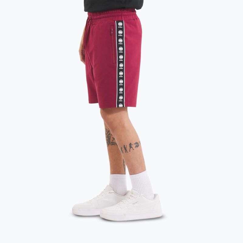 Vyriški šortai Pitbull Tape Nugget burgundy 4