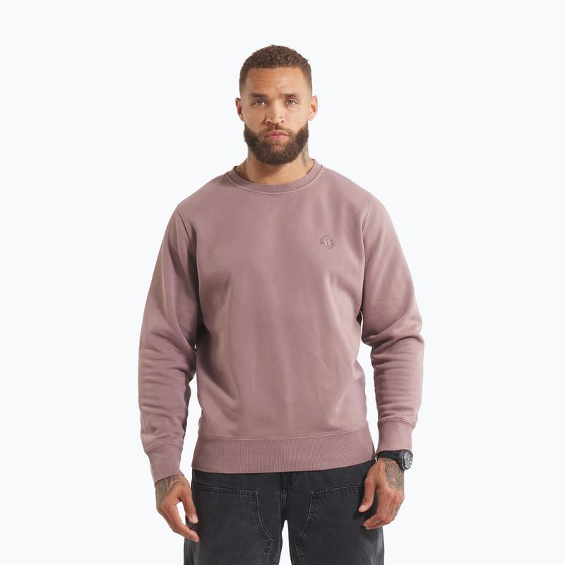 Vyriškas džemperis Pitbull Lancaster 2 Crewneck Sweatshirt washed burgundy