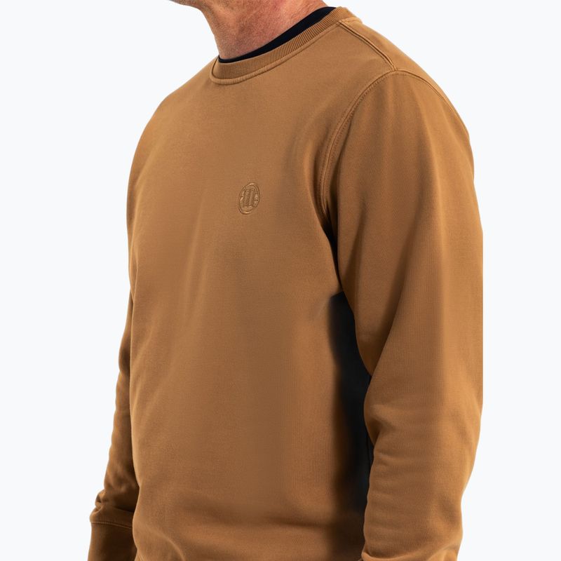 Vyriškas džemperis Pitbull Lancaster 2 Crewneck Sweatshirt honey yellow 4