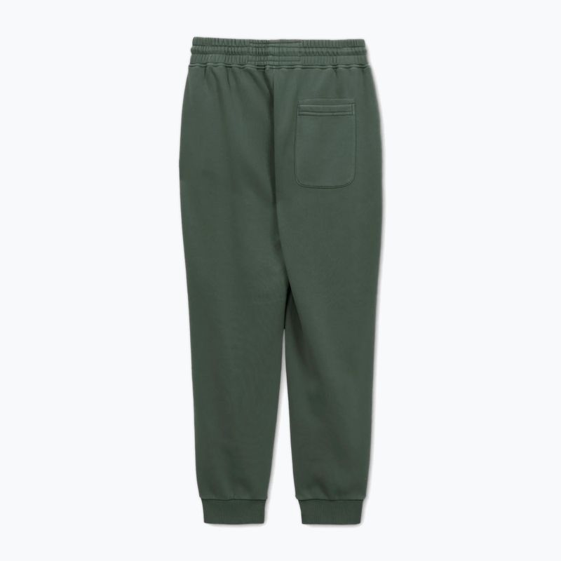 Vyriškos kelnės Pitbull Lancaster 2 Track Pants sage green 5