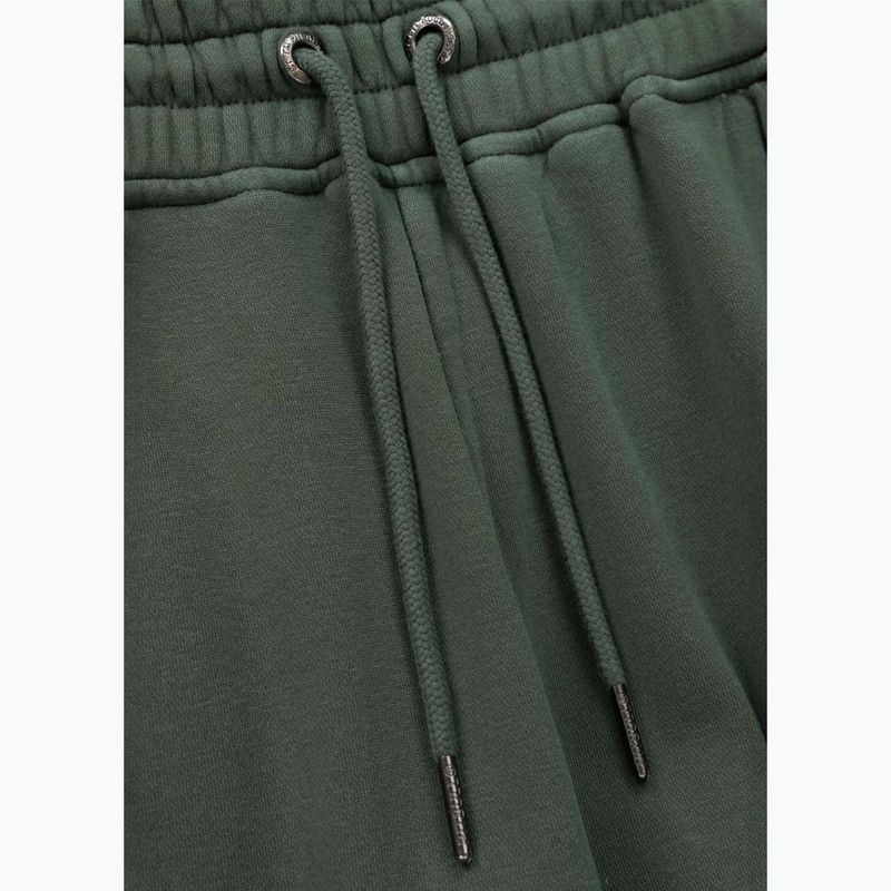 Vyriškos kelnės Pitbull Lancaster 2 Track Pants sage green 6