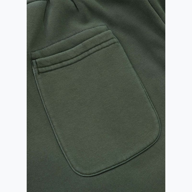 Vyriškos kelnės Pitbull Lancaster 2 Track Pants sage green 9