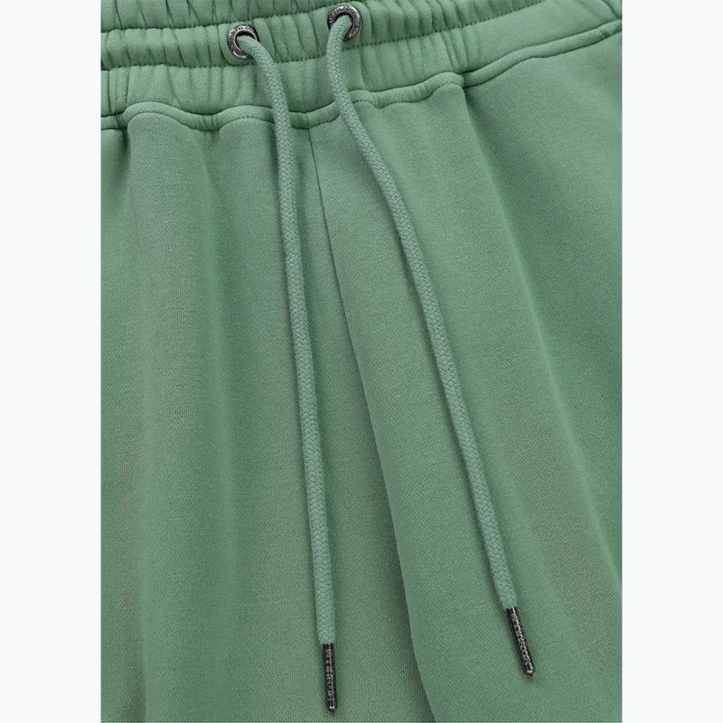 Vyriškos kelnės Pitbull Lancaster 2 Track Pants washed green 5