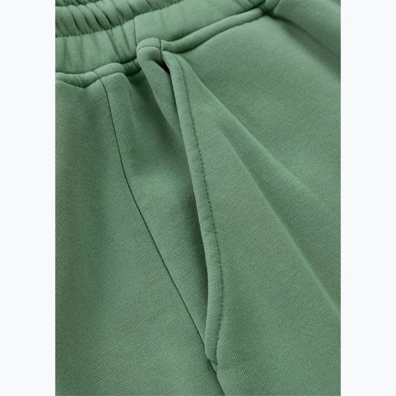 Vyriškos kelnės Pitbull Lancaster 2 Track Pants washed green 7