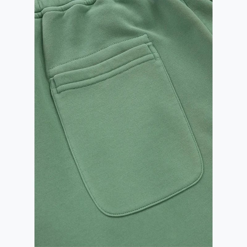 Vyriškos kelnės Pitbull Lancaster 2 Track Pants washed green 8
