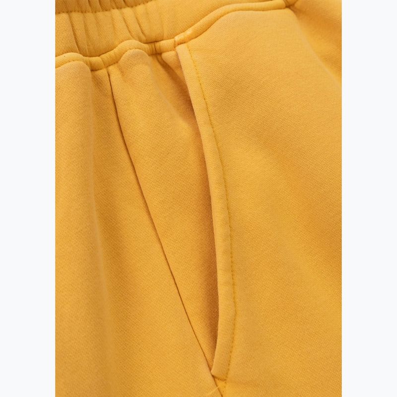Vyriškos kelnės Pitbull Lancaster 2 Track Pants washed yellow 10