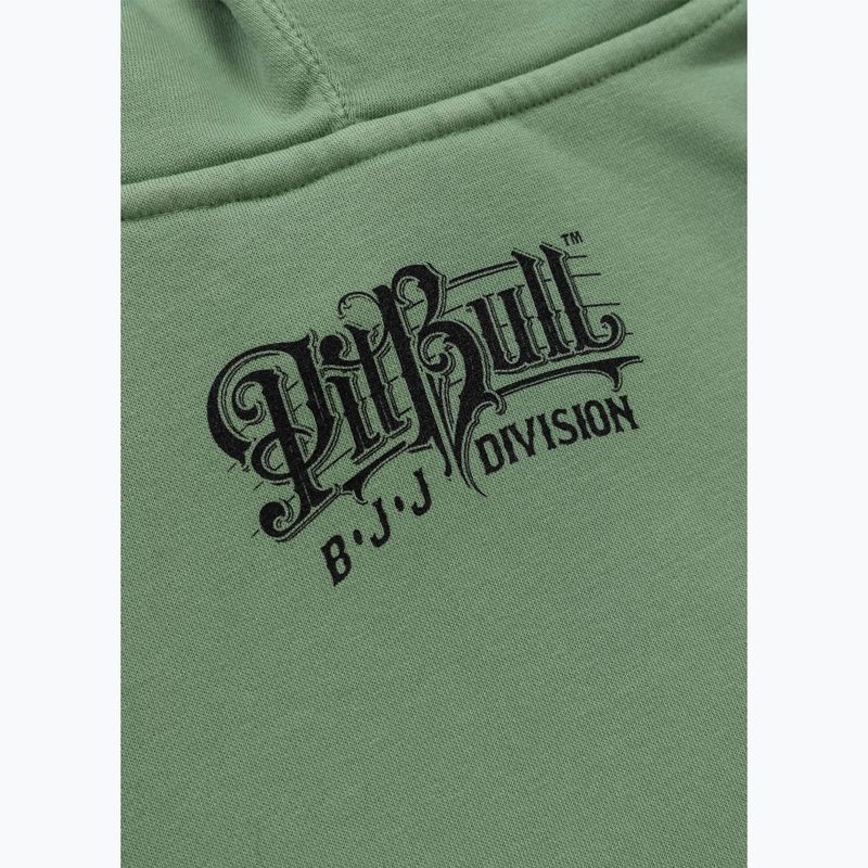Vyriškas džemperis Pitbull Vintage Bjj Hooded Sweatshirt washed green 8