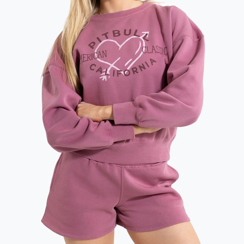 Moteriškas džemperis Pitbull Manzanita Heart Crewneck Sweatshirt pink 5