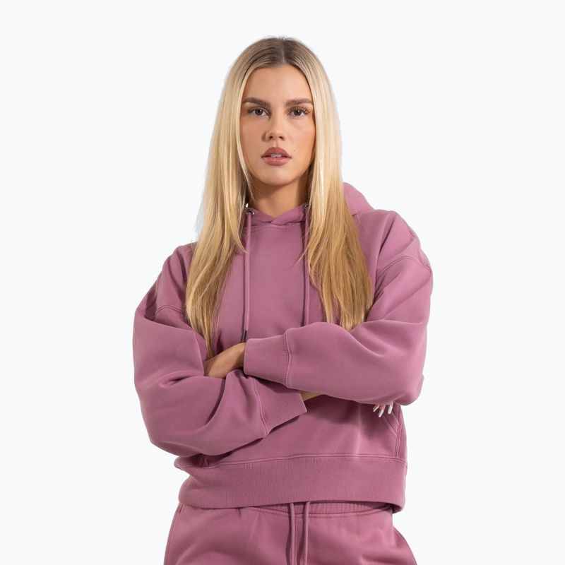 Moteriškas džemperis Pitbull Manzanita Hooded Sweatshirt pink