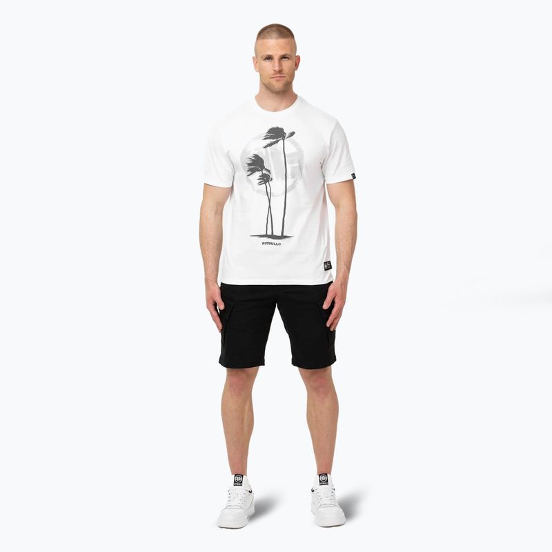 Vyriški marškinėliai Pitbull Palms white 2